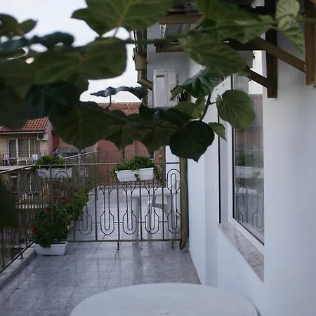 酒店 Family Andreev 2*